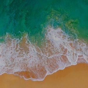 Meet your Posher, Kodie